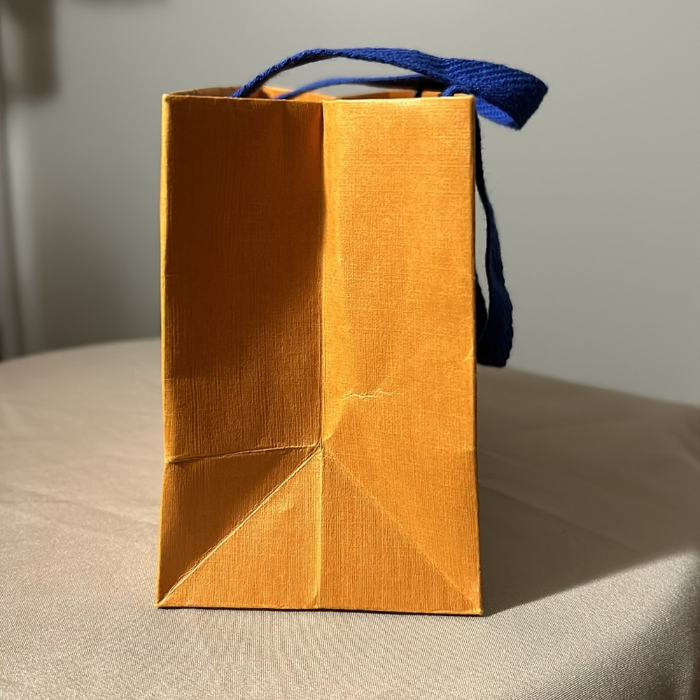 LV Mini Empty Bag 100% Authentic - Picture 4 of 8